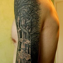 Aleksey Cheholdin 1