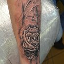 Dmitriy Cilik 3