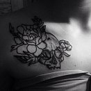 Black Needle 3