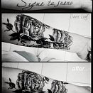 Sweet Leaf 2