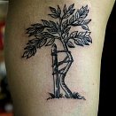ROSE TATTOO 2