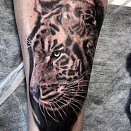 Mecha Ink Tattoo Studio 2