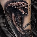 Westend Tattoo & Piercing Wien 2