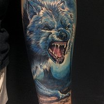 Andrey Villegas 1