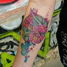 NO LAND TATTOO PARLOUR 2