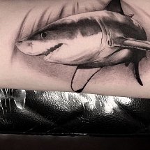 Even Keel Tattoo 1