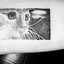 Han Tattoo Studio 2