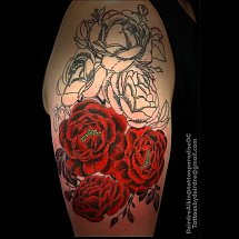Deirdre Aikin 1