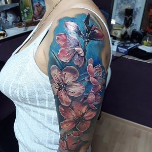 Виталий Крестовников