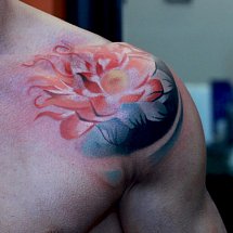 Mark Levitzki 1