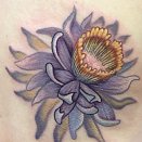 SharonHealy 3