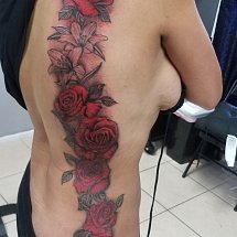 Zo Nunez 1