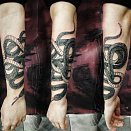 RVD TATTOO 2