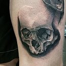 Inkoust Tattoo Studio 2