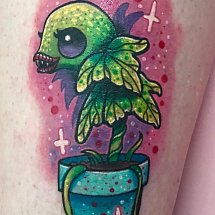 Carys Cuttlefish 1