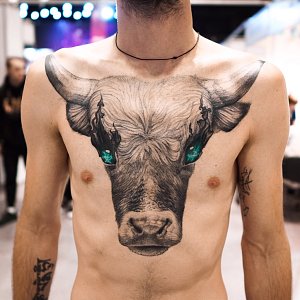 Evgeny Mel