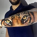 Bruno Perdiz 2