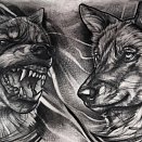 67 tattoo shop 2
