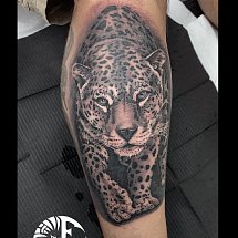 Fredson Tattoo 1