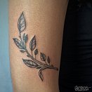 Musta Ink 3