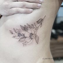 Noe 1