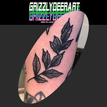 Grizzlydeerart 1