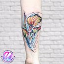 Tattoobaver 3