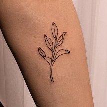 JINSOL TATTOO 1