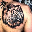 studiya tatu 2