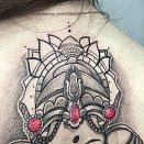 Black Rabbit 2