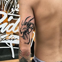Marcelo Barros 1