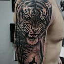 Aleksandr Gusev 3