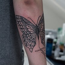Mike Ho 1