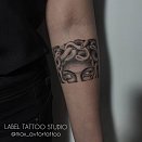 Max Tatooinbr 3