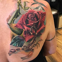 Jani Tattoos 1