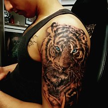 Carma Ink 1