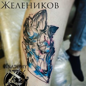 Вячеслав Желеников