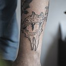 KAKTUS INK 3