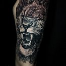 Skurril Tattoo 2