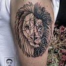 Ari Edry 3