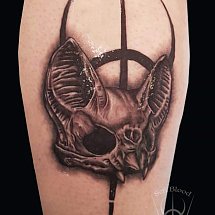 Sefi Blood 1