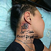Gold Dragon 1