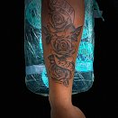 Louie Tats 3