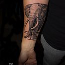 Wise Kid Gallery and Tattoo (Black Rose) 3