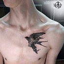 LIBERTY INK 3