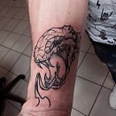 Emelyanov Tatu 3
