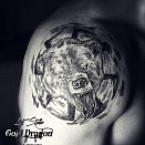 Gold Dragon 3