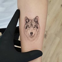 Max 1