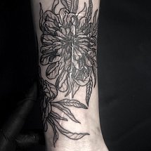 Sofie Needles 1