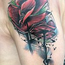 Dirk Vanderlinden 3